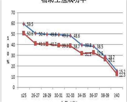试管移植到子宫内膜位置
